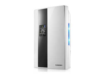 Whole House Dehumidifiers